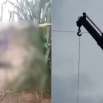 montagens 1920 x 1080 px 2