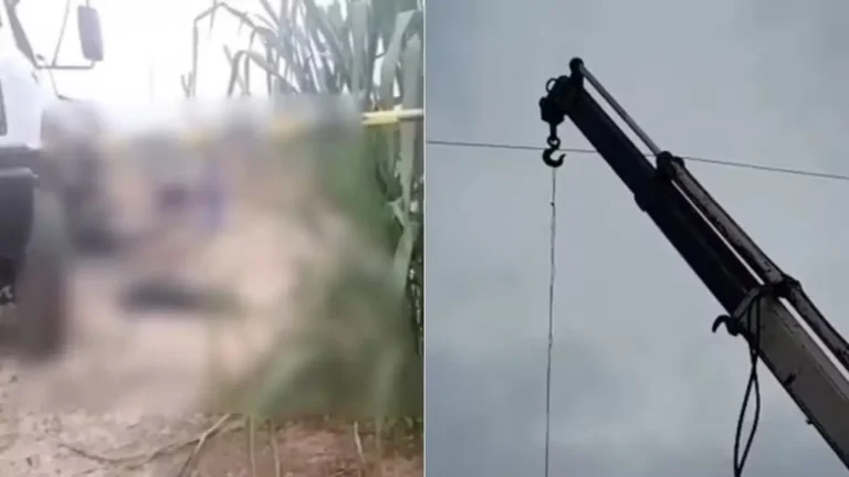 Acidente com rede de alta tensão deixa dois mortos em povoado na zona rural de Codó