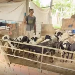 montagens 1920 x 1080 px 42