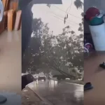 montagens 1920 x 1080 px 71