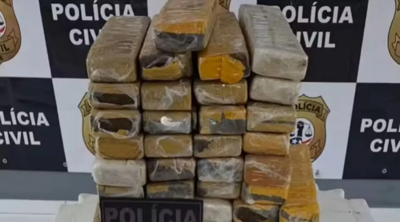 Diversas barras de maconha apreendidas e organizadas sobre uma superfície para exibição do material ilícito.